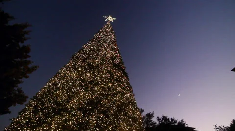Christmas tree in evening sky Stock-Footage 44316204