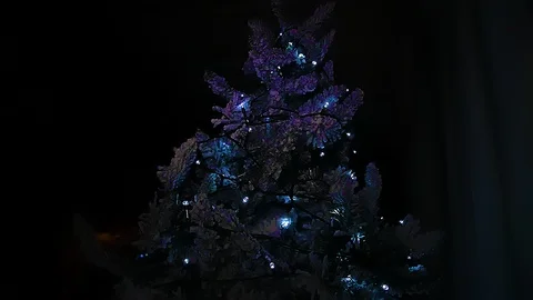 Christmas Tree Event 1 Stock Footage 100342578