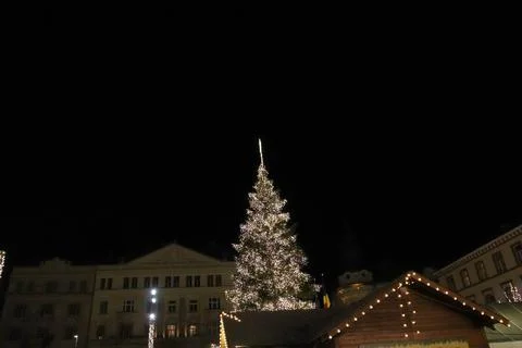 The christmas tree from the fair Stock Photos