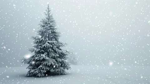 Christmas tree. Falling snowflakes. Falling snowflakes effect. Looped snow. Stock Footage 271505277