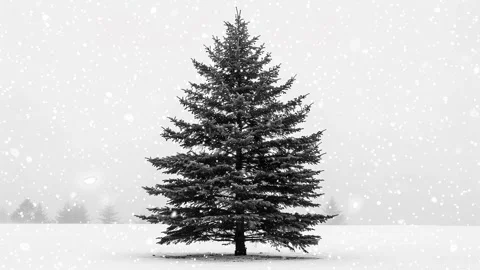 Christmas tree. Falling snowflakes. Falling snowflakes effect. Looped snow. Stock Footage 271505779