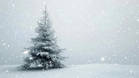 Christmas tree. Falling snowflakes. Falling snowflakes effect. Looped snow. Stock Footage 271616201