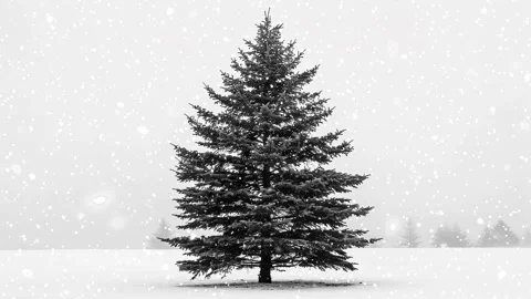 Christmas tree. Falling snowflakes. Falling snowflakes effect. Snow. Stock Footage 272985058