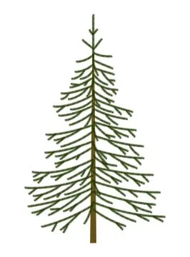 Christmas tree fir object Stock Illustration