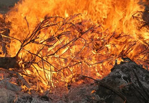Christmas tree fire Stock Photos