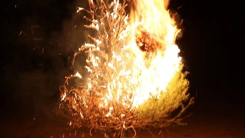 A Christmas tree up in flames Stock Footage 122306260