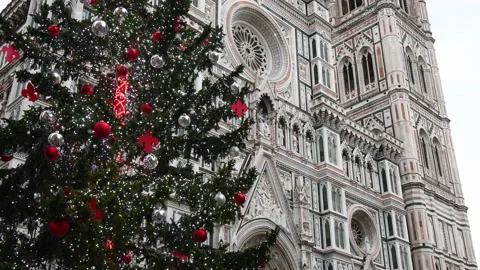 Christmas Tree in Florence in front of Cathedral Santa Maria del Fiore Video stock 223738460