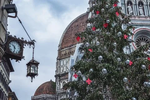 Christmas tree in Florence Stock Photos