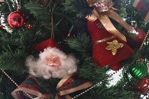 Christmas tree Stock Footage 114491