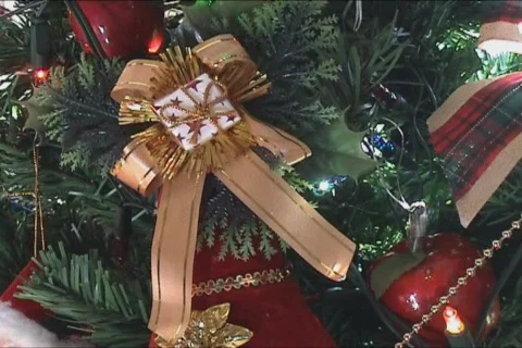 Christmas tree Vidéo 134020