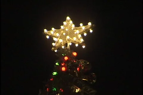 Christmas Tree Stock Footage 297122