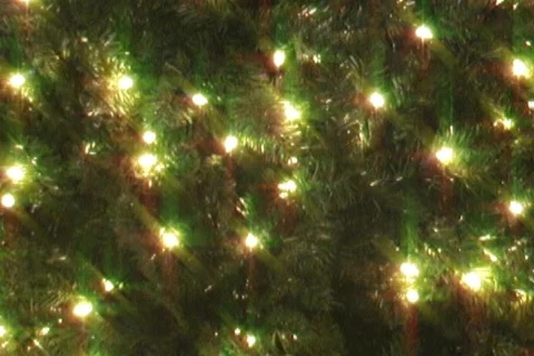 Christmas Tree Stock Footage 334985