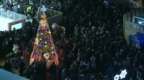 Christmas tree Video stock 581323