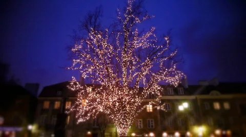 Christmas tree Stock Footage 598362