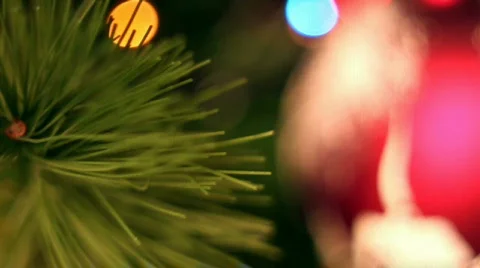 Christmas tree Stock Footage 604793