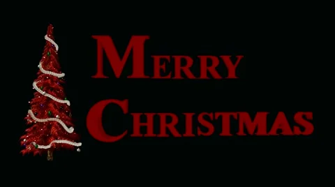 Christmas tree Stock Footage 973782