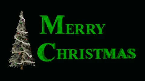 Christmas tree Stock Footage 973793