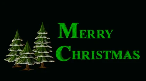 Christmas tree Stock Footage 973799