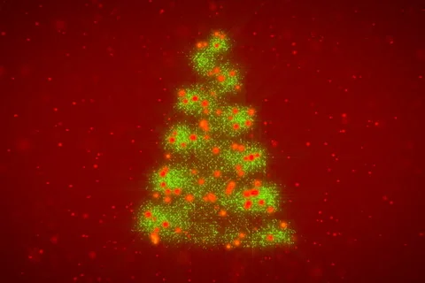 Christmas Tree Stock Footage 979903