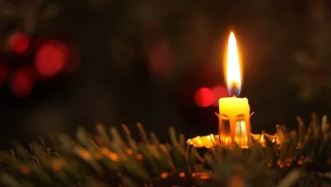 Christmas Tree Stock Footage 1013590