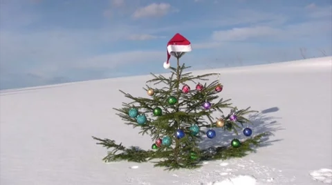 Christmas tree Stockbeeldmateriaal 8639901