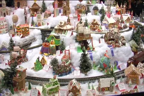 Christmas Tree Stock Footage 20451982