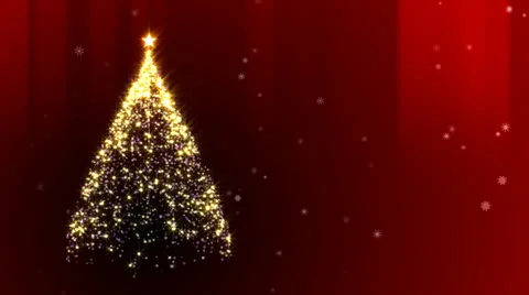 Christmas Tree Stock Footage 23458695