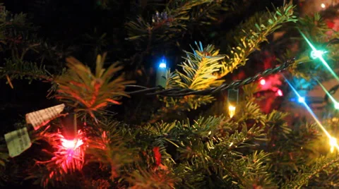 Christmas Tree Stock Footage 33805276