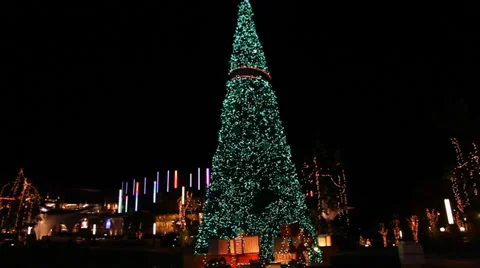 Christmas tree 스톡 동영상 33977113