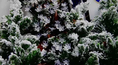 Christmas tree Stock Footage 45383700