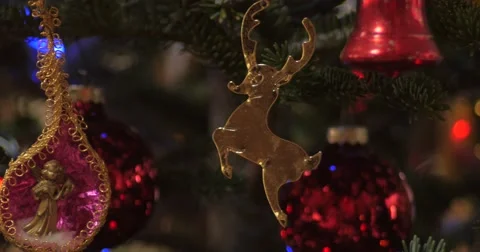 Christmas Tree Stock Footage 54205357