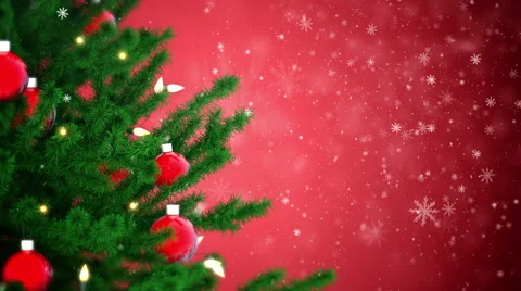 Christmas tree Stock Footage 57703957