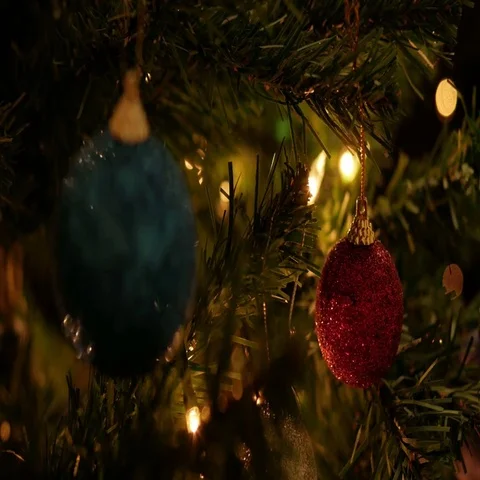 Christmas Tree Stock Footage 69378864