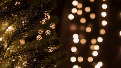 Christmas Tree Stock Footage 69709073