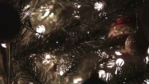 Christmas Tree Stock Footage 70026394