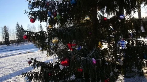 Christmas tree Vídeo Stock 71214884