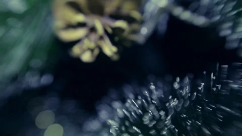 Christmas tree Stock Footage 80233244