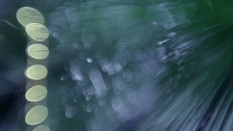 Christmas tree Stock Footage 80233384