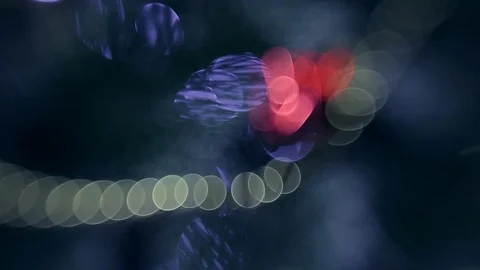 Christmas tree Stock Footage 80233928