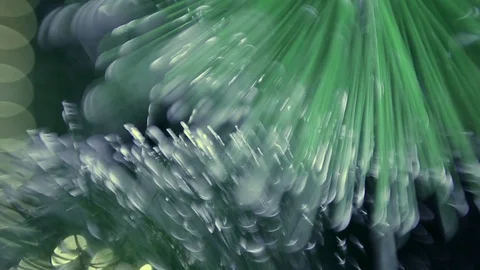 Christmas tree Stock Footage 80234012