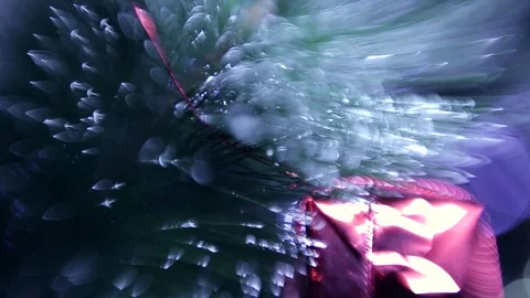 Christmas tree Stock Footage 80234085