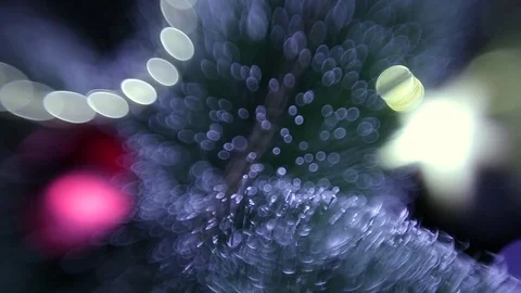 Christmas tree Stock Footage 80234322