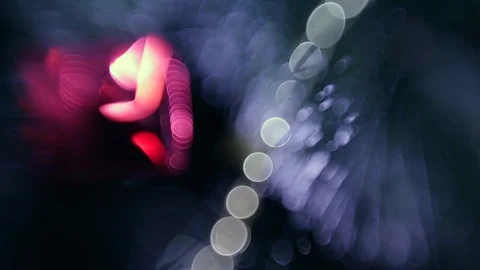 Christmas tree Stock Footage 80235154