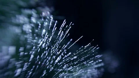 Christmas tree Stock Footage 80235353