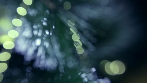 Christmas tree Stock Footage 80235562