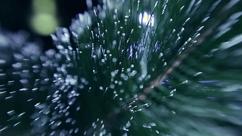 Christmas tree Stock Footage 80235670