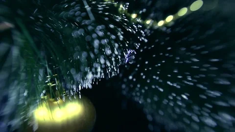 Christmas tree Stock Footage 80235818