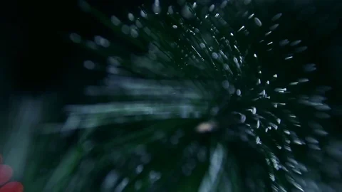 Christmas tree Stock Footage 80236716