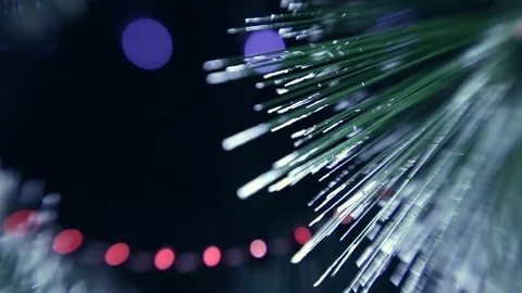 Christmas tree Stock Footage 80236922