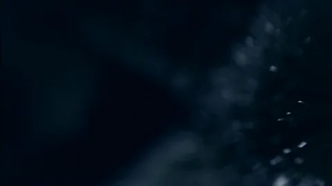 Christmas tree Stock Footage 80237114